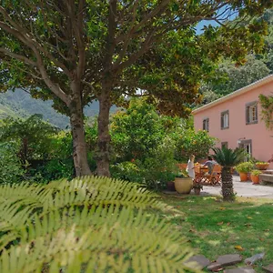 Casa de hóspedes Madeira Surf